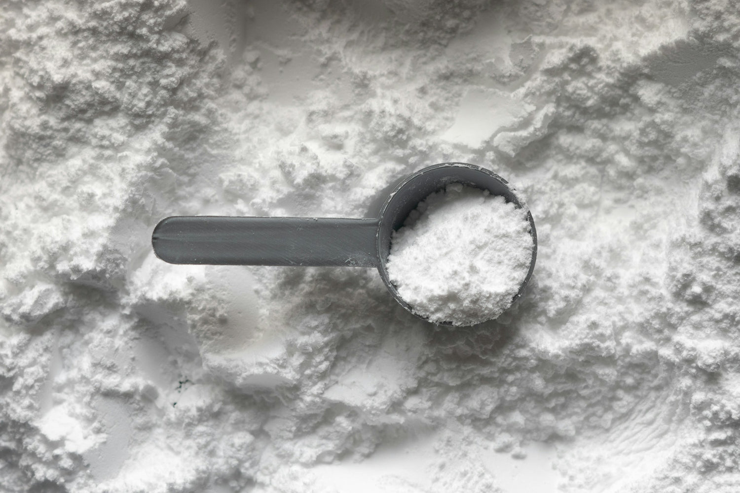 PROTEÍNA Y CREATINA
